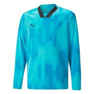 Puma Childrens/Kids Teamtarget Long-Sleeved Goalkeeper Jersey / Blue